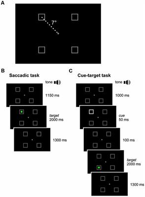 Visuospatial Attention and Saccadic Inhibitory Control in Children With Cerebral Palsy